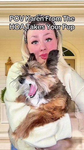 POV: Karen From The HOA Takes Your Pup Away