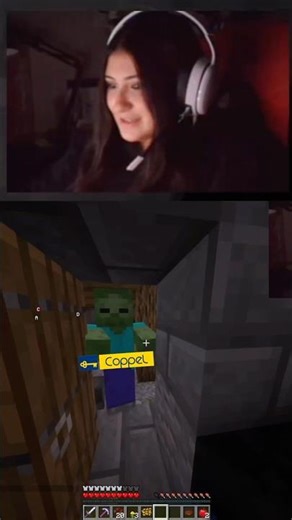 Coppel #gameplays #minecraft #bestminecraftclips #minecraftmemes