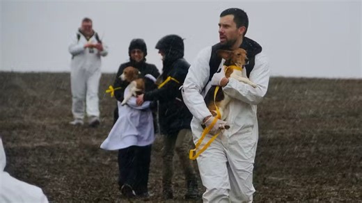 Animal activists openly planning raid at Wisconsin breeding, research facility