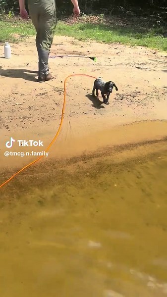 Boo's First Swim Adventure