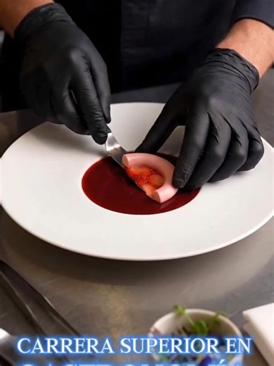 Estudia Gastronomía: Título Registrado SENESCYT