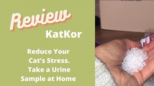 How to Use Katkor Home Urine Kit . How to Stop Your Cat Getting Stressed With Vet Visits. Under £3