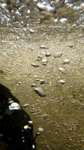 Crystal Clear Creek: Slow Motion Water ASMR 🌊✨ #shorts #nature