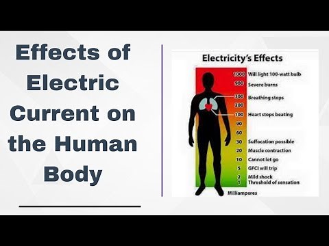 Effects of Electric Current on the Human Body