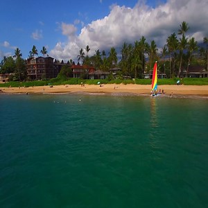Toes in the sand and it is all right. 🤩🏖️🌴 | Aloha Stoked