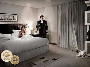 Publicité avec des chiens : 10 chiens stars de publicités