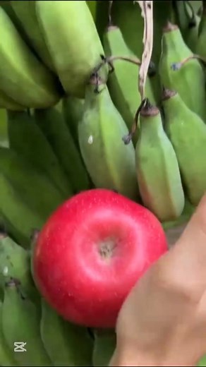 12K views · 456 reactions |  This skill will blow your mind! Watch closely—you won’t believe what’s possible.   Let’s share it on every page we can! | Gh Family Tv | Facebook