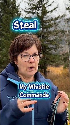 Herding whistle commands, learn how to use a shepherd’s whistle. #sheepdog #stockdog #herdingdog