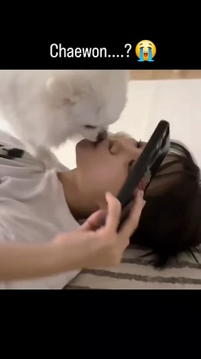 𝑳𝑬𝑺𝑺𝑬𝑹𝑨𝑭𝑰𝑴 𝑪𝑯𝑨𝑬𝑾𝑶𝑵 on Instagram: "Chaewon always kiss with him.. 😭 #김채원 #chaewon #kimchaewon #르세라핌채원"
