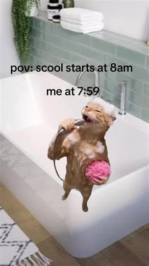 #Meme #CapCut #true #edit #cat | cat meme