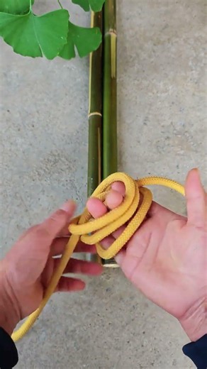 The python binding knot passed down from ancient times. Practical knots. A collection of knottin