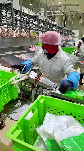 Efficient Poultry Processing Facility Operations