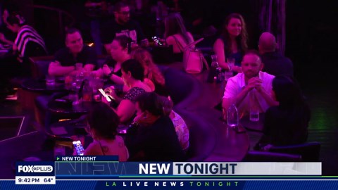 Beetle House LA as risk of shutting down