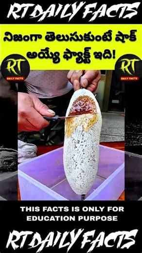 నిజంగా తెలుసుకుంటే షాక్ అయ్యే ఫ్యాక్ట్ ఇది!” #facts #history