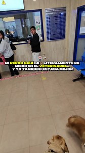 Resultados Definitivos de Calo: ¿Final Feliz?