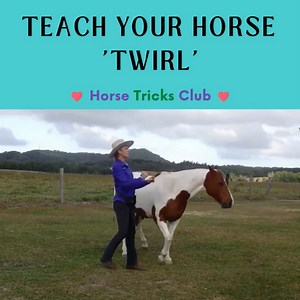 970 reactions · 100 shares | Teach your horse to twirl! 朗  This fun...