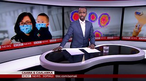 KORONA FAYRUS;Wararkii ugu danbeyey ee Shiinaha oo fayrusku khalkhal galiyey dhaqaalaha iyo bulshada,cabsi iyo kala yaac | BBC News Somali