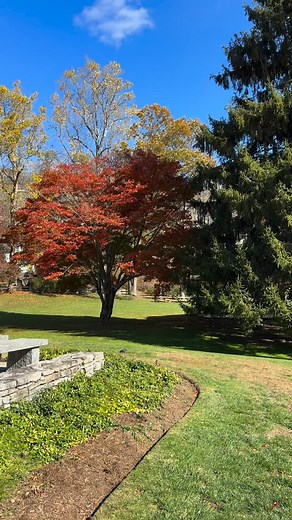 11 reactions | We are excited today for the premiere of our film @ivorytonplayhouse A Connecticut Farmer and the King’s Cow. Thank you to everyone involved and especially John and Bonnie Hall. @maple_breeze_farm @americanmilkingdevon #ivorytonplayhouse #connecticut #agriculture #indiefilm #indiefilmmaker #documentary #documentaryfilm #farmer | Backyard Green Films | Facebook