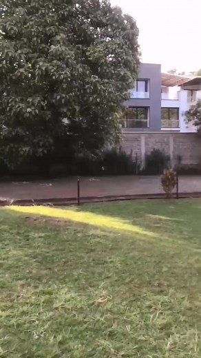 Begin the week with us! Our week starts with a weekly team meeting where we touch base with each other and discuss the weeks upcoming activities, before we arrive in schools for a fun and engaging STEAM session. #LittleEinsteinsEastAfrica #STEAMLearning #teamvideo #adayinthelife #ThursdayVibes #thursday | Little Einsteins East Africa