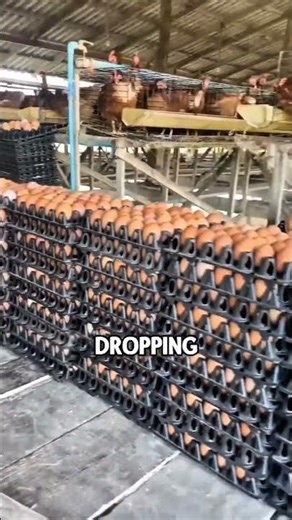 Shocking Polyculture Techniques You Didn't Know!😱 #shorts #aquaculture #shortsviral