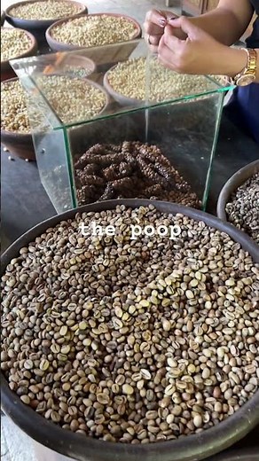 The Truth Behind Bali’s Costliest Poop Coffee! 💩☕ #kopiluwak
