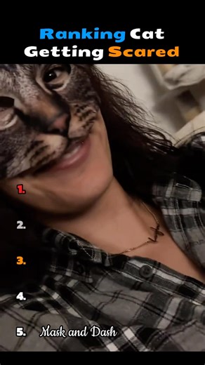 Ranking Cat Getting Scared