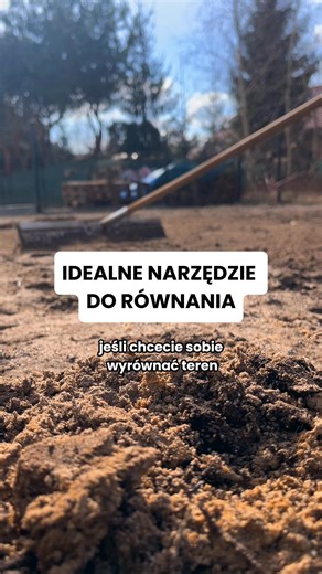 Do małych ogrodów jest idealna. Przy dużych powierzchniach trzeba poszukać już czegoś większego. #Ogród #zakladanieogrodow #ogrodnik | Ogrodnik Doskonały