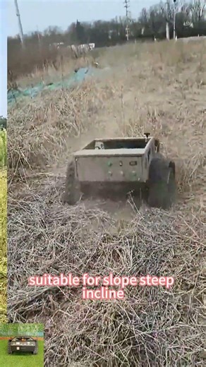 Buy factory direct sales low wholesale price China ditch bank lawn weed remote control on Alibaba