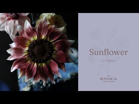 Sunflower Sugar Flower Tutorial (Gumpaste / Flower Paste)