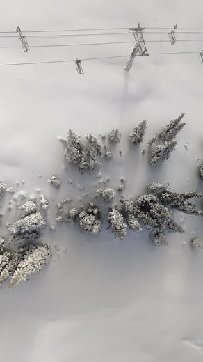 Powder High at Revelstoke Mountain Resort Opening Day