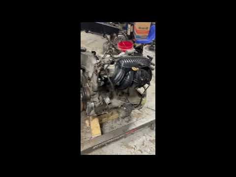 Too many legs in the way!