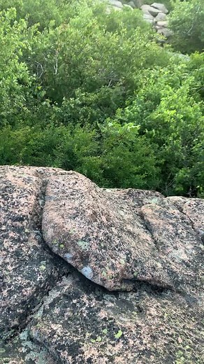 Cadillac Mountain! #travel #explore #adventure #hiking #savespeedclimbing #maine