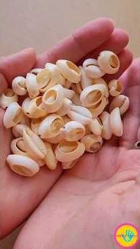 🐚 Easy Shell Bracelet Tutorial ✨