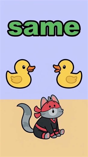 Kindergarten Sight Words: SAME | Kitten Ninja By Epic
