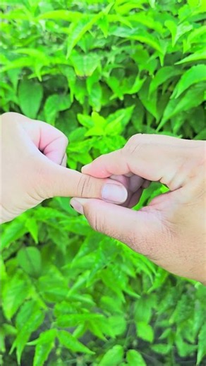 Eye Strain Relief Switch That 99% of People Don't Know!