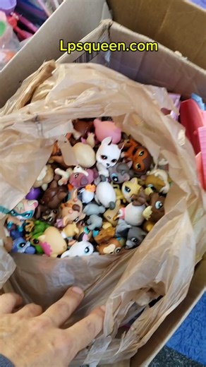 lpsqueen.com | Huge LPS Haul 🤩 but I missed the best deal 😢 #littlestpetshop #lpscollector #lpslove #lpspopular #lps #cheaplps #lpshaul | Instagram