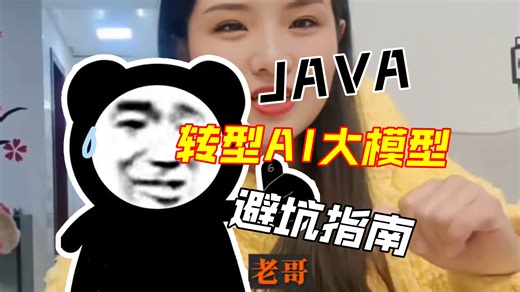 Java老鸟转型AI大模型实战避坑指南