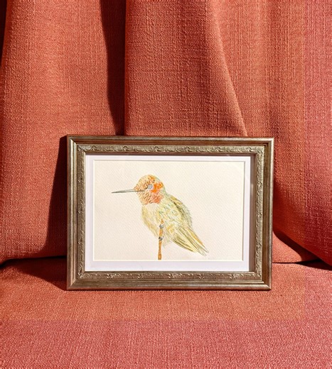 Aquarelle originale de colibri d'Anna - oeuvre d'art d'oiseau unique en son genre, illustration de la nature, cadeau pour amoureux des oiseaux - Etsy France