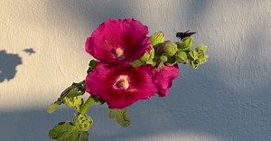 Video by Sezen Arda on Pexels