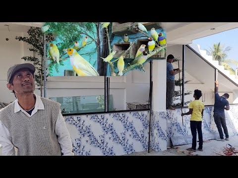 A Beautiful Home for Finches 🐦 | Finch Bird Colony Finally Completed.