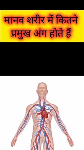 क्या आप जानते हैं 😱 की मानव शरीर में कितने प्रमुख अंग होते हैं 🤔🤔 ??