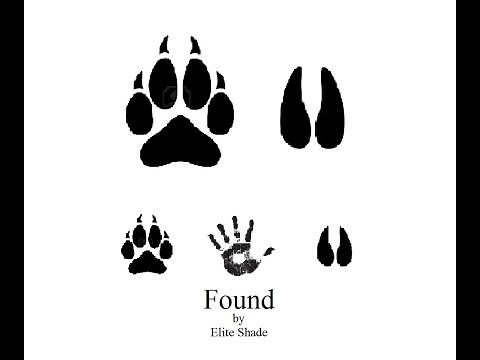 Found Chapter 1: A Zootopia Fanfiction Reading