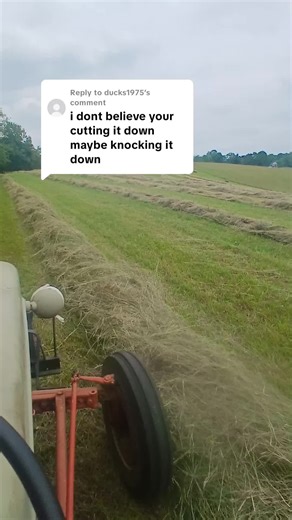 Exploring the Ford 801 Power Master and New Holland 451