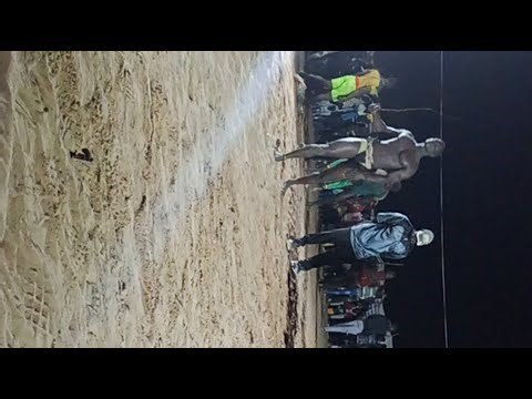 En Direct Lutte Simple Keur Mor Samb Le 27 Décembre 2025