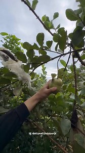 1M views · 10K reactions | Denis Matthew Channel on Reels | Facebook