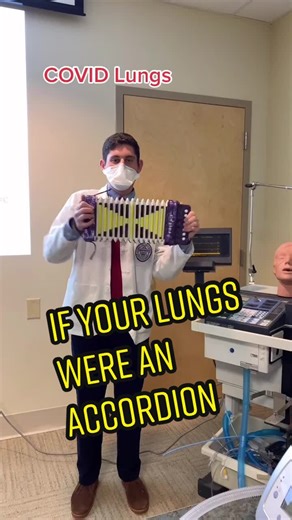 Exploring Lung Sounds: What Your Lungs Would Sound Like If They Were an Accordion