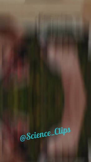 Science Clips على TikTok