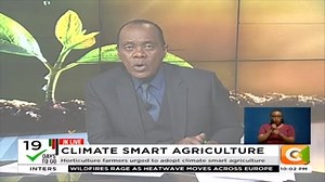 1.7K views · 84 reactions | Climate smart agriculture: Horticulture farmers urged to adopt climate smart agriculture. 30,000 farmers around the country to be trained on new techniques #JKLive | Citizen TV Kenya | Facebook