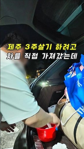 Jeju Island Car Shipping vs. Delivery Costs | Jeju Family Trip