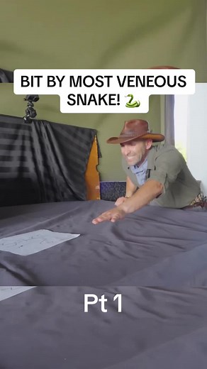Dangers of a Venomous Snake Bite